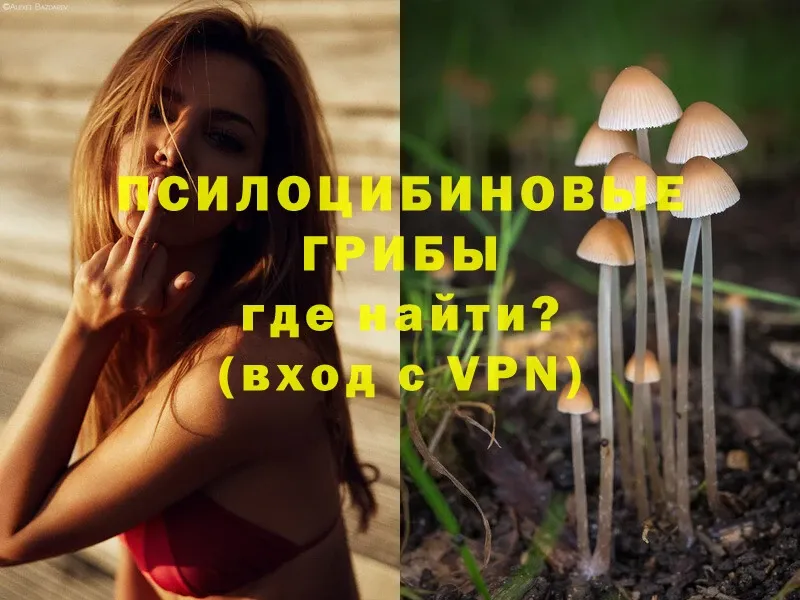 Галлюциногенные грибы Psilocybine cubensis  МЕГА как войти  Биробиджан 